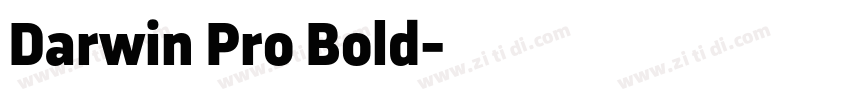 Darwin Pro Bold字体转换